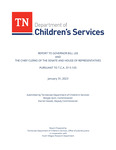 Report to Governor Bill Lee and the Chief Clerks of the Senate and House of Representatives, Pursuant to T.C.A. 37-5-105, January 31, 2023 by Tennessee. Department of Children's Services