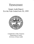Single Audit Report, For the Year Ended June 30, 1999