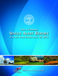 Single Audit Report, For the Year Ended June 30, 2013