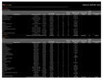 TNInvestco Annual Report 2021