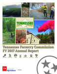 FY 2017 Annual Report