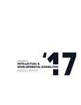 Annual Report '17 by Tennessee. Department of Intellectual and Developmental Disabilities