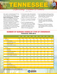 Tennessee Nursing Home Trends 2013 by Tennessee. Department of Health