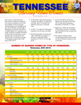 Tennessee Nursing Home Trends 2010 by Tennessee. Department of Health