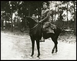 Colonel Luke Lea, 114th Field Artillery, ca. 1918