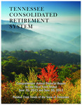 Comprehensive Annual Financial Report, For the Fiscal Year Ended June 30, 2013 and June 30, 2012 by Tennessee Consolidated Retirement System